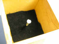 IMG_0149.JPG (43063 bytes)