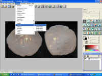 IMG_0153.JPG (112605 bytes)