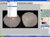 IMG_0154.JPG (120861 bytes)