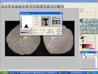 IMG_0155.JPG (125411 bytes)