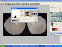 IMG_0156.JPG (123609 bytes)